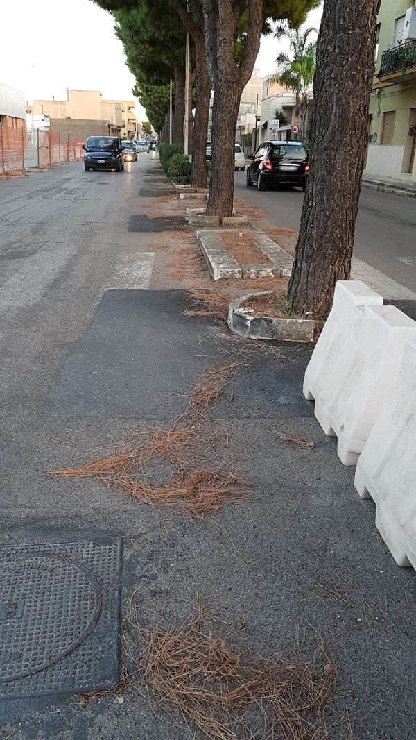 viale indipendenz54