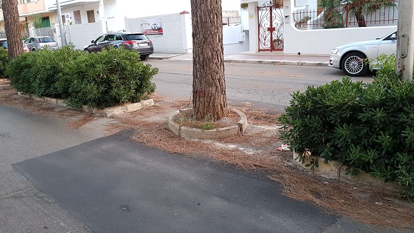 viale indipendenzX