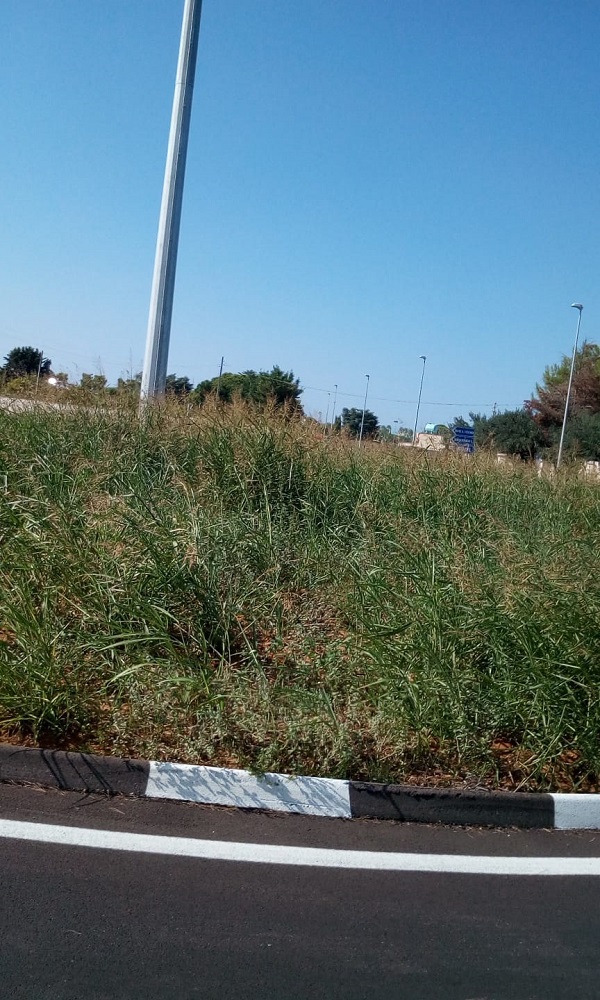 rotatoria via S Pancrazio3
