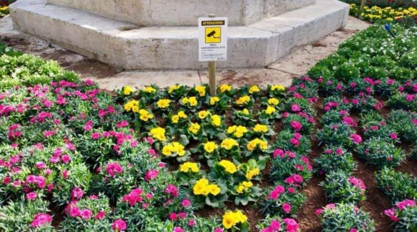 fiori colonna votiva1