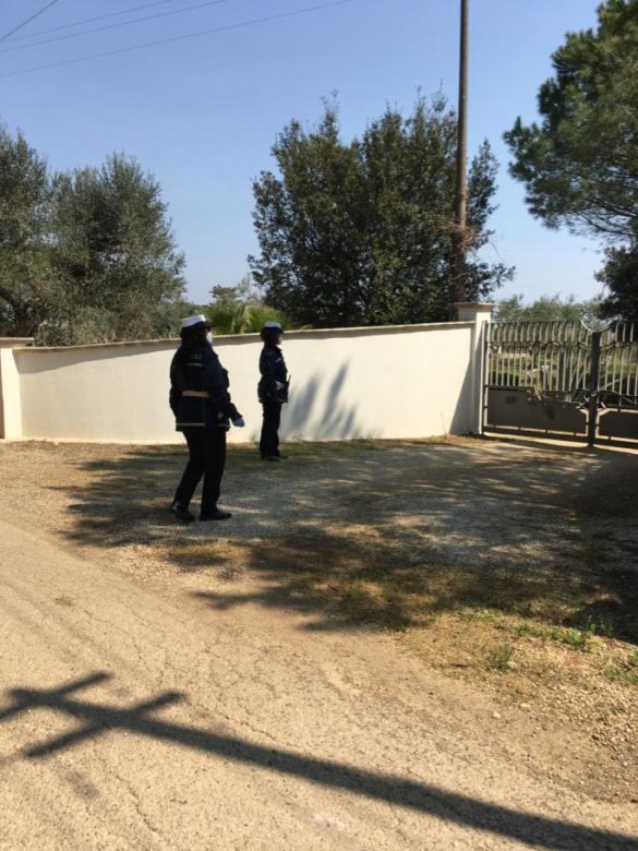 Pasquetta Vigili21