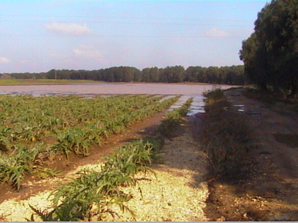 campagne allagate
