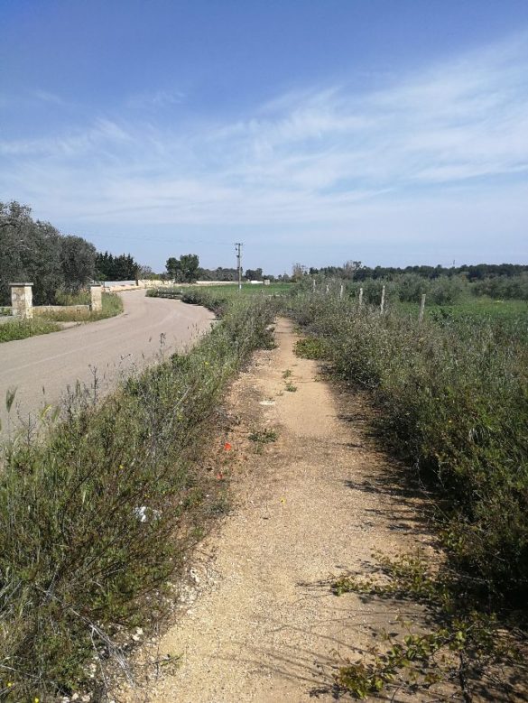 pista ciclabile s rosa1
