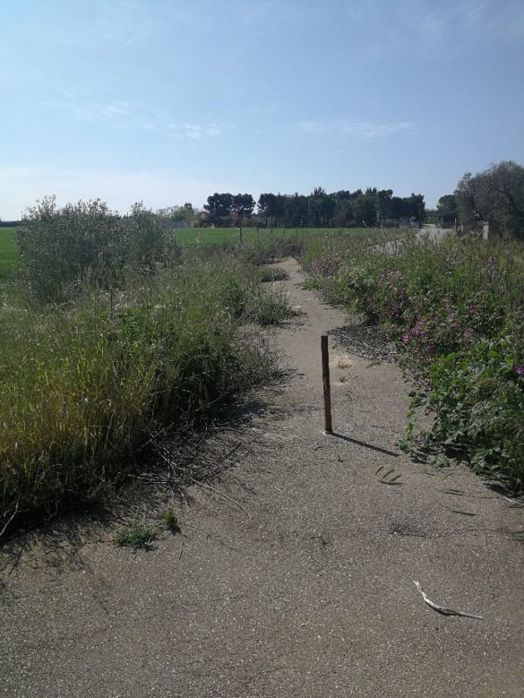 pista ciclabile s rosa5