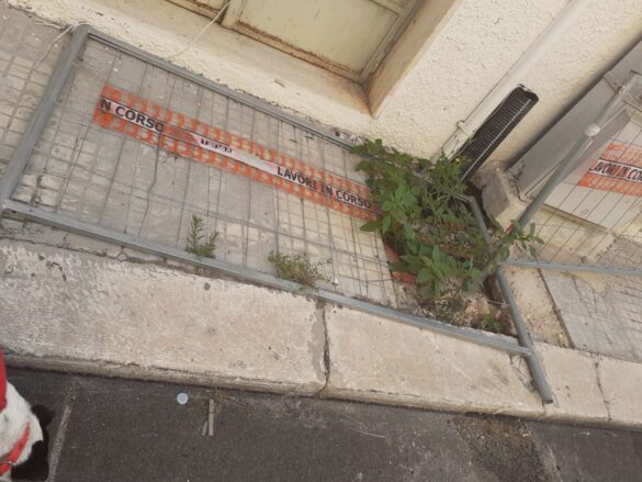 via F Guarini3