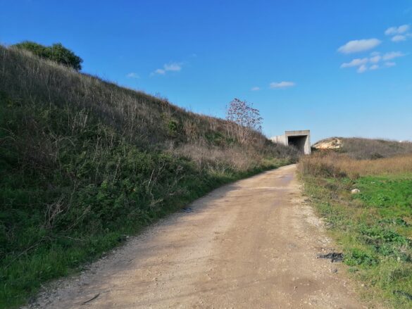 svincolo per S Vito scalo6