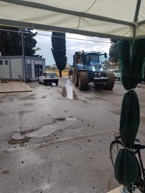 cimitero sporcato1