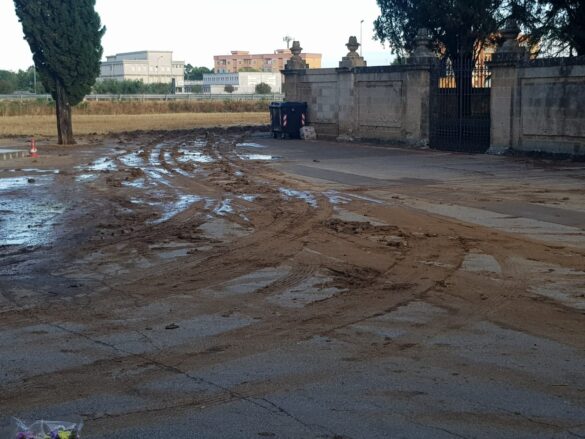 cimitero sporcato2