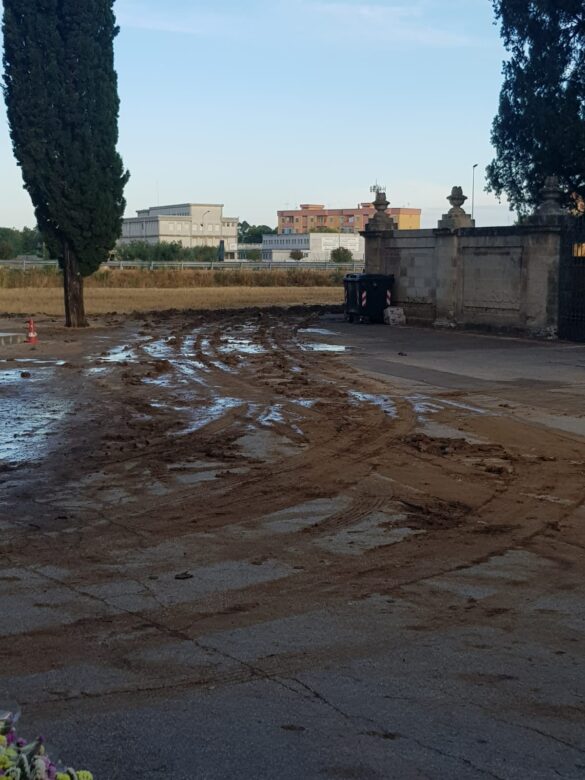 cimitero sporcato4