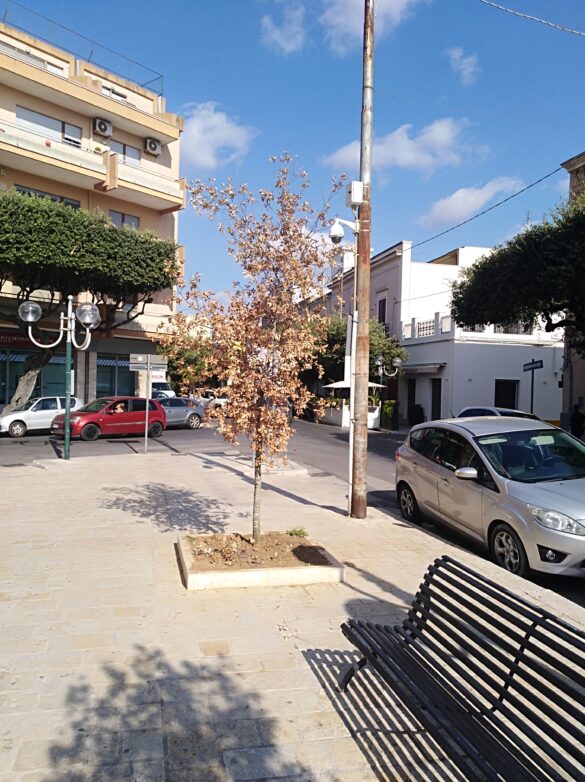 villa c