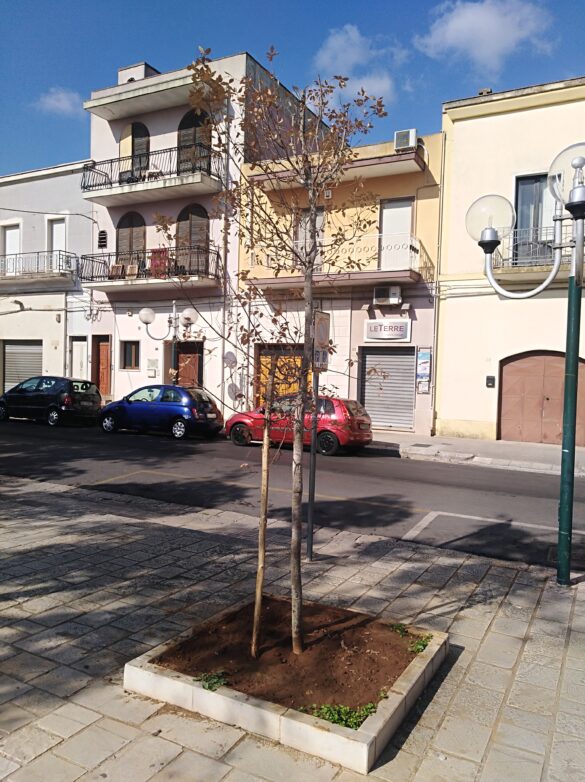villa c3