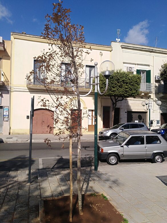 villa c4
