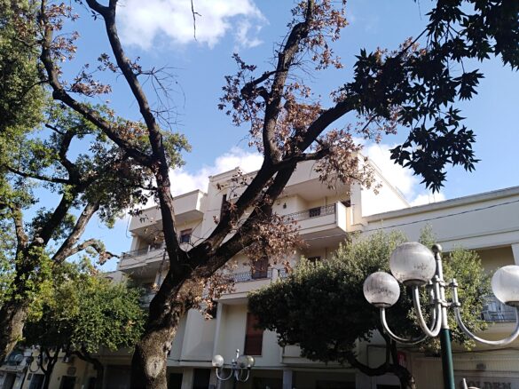 villa c6