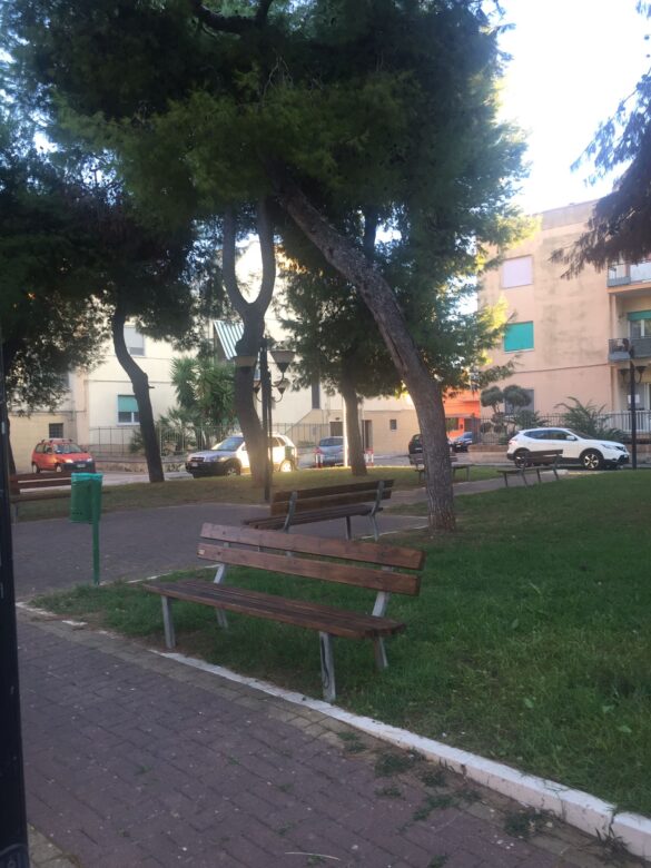 alberi2