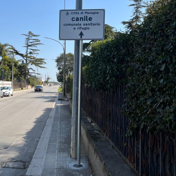 indicazione canile