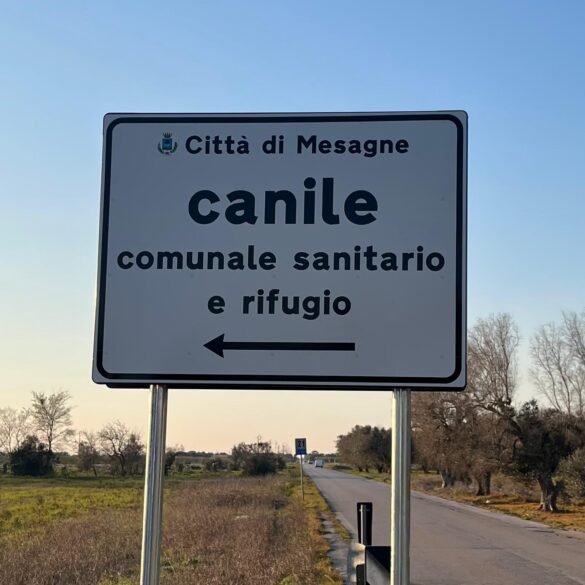 indicazione canile9