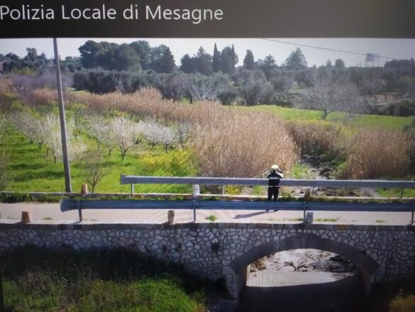 vigili campagne5