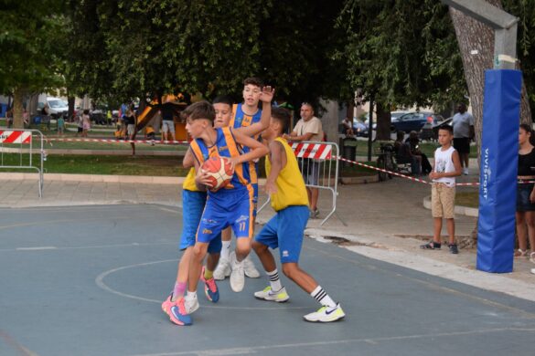 minibasket55