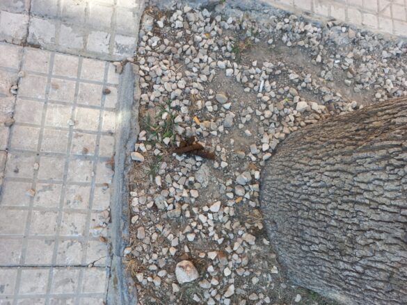 deiezioni cani2