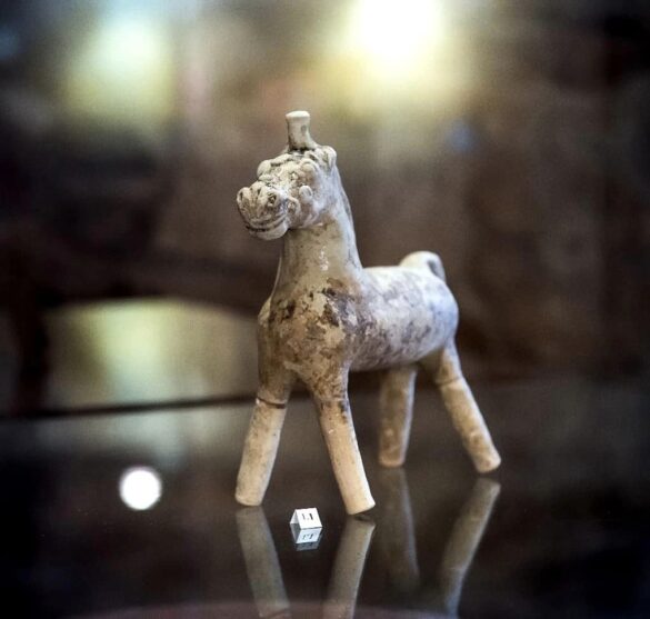 Museo5