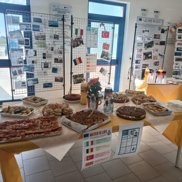 erasmus liceo4