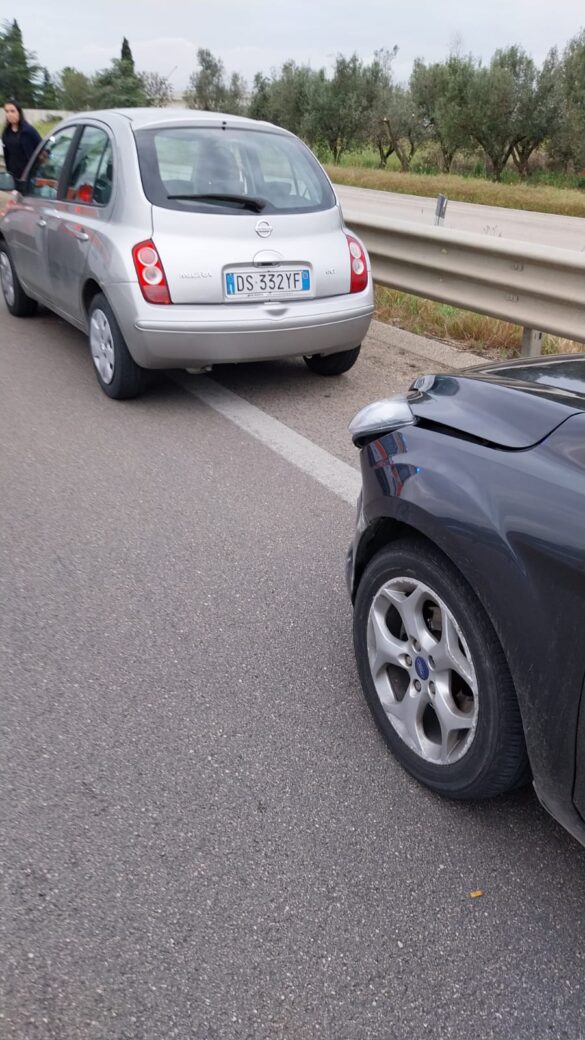 Immagine WhatsApp 2023-
