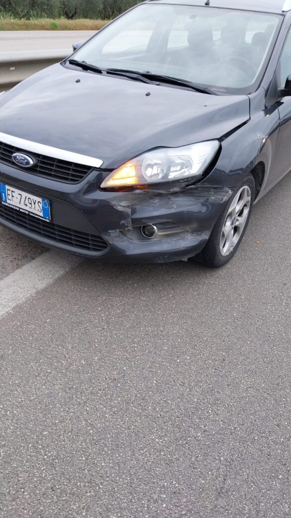 Immagine WhatsApp 2023-04-30 ore 19.15.21