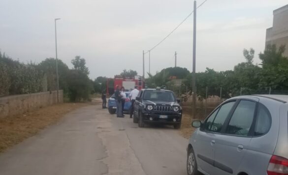 Immagine WhatsApp 2023-06-06 ore 19.24.07