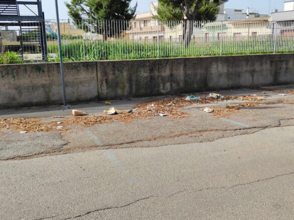 parcheggio scientifico1