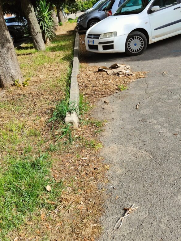 parcheggio scientifico3
