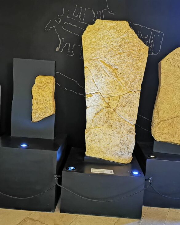 Museo5